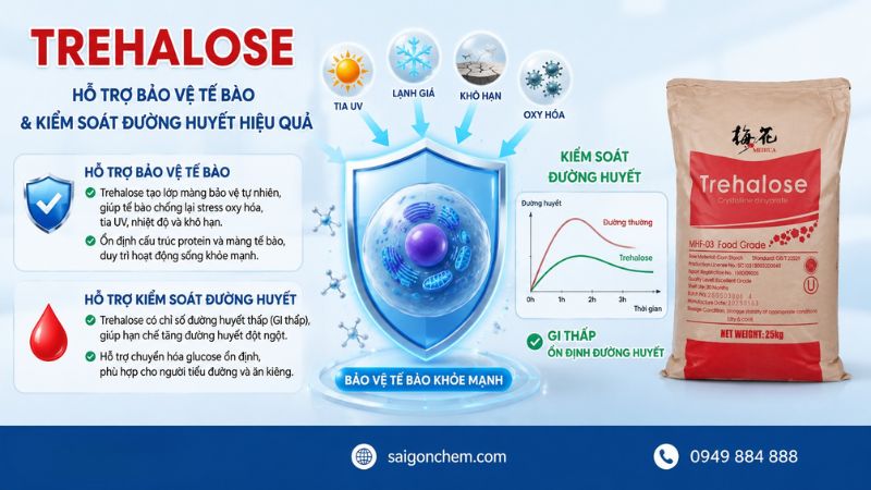 Trehalose hỗ trợ bảo vệ tế b&agrave;o v&agrave; kiểm so&aacute;t đường huyết hiệu quả.